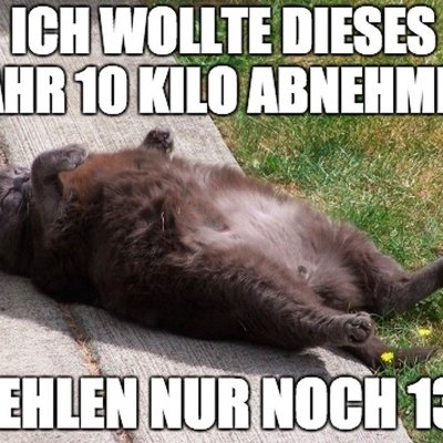 Profile Picture of Einhornfee€; (@lea_stemplinger) on Twitter