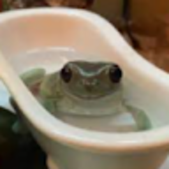 Profile Picture of Lena Balkcom (@lenabalkcom) on Poshmark