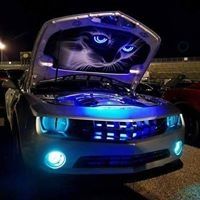 Profile Picture of Kacie Andrews (@galangpaul) on Pinterest