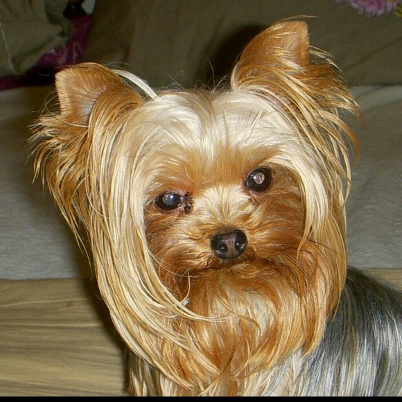 Cheryl Vinnedge - Poshmark Profile Picture of Cheryl Vinnedge (@southerngirl57) on Poshmark