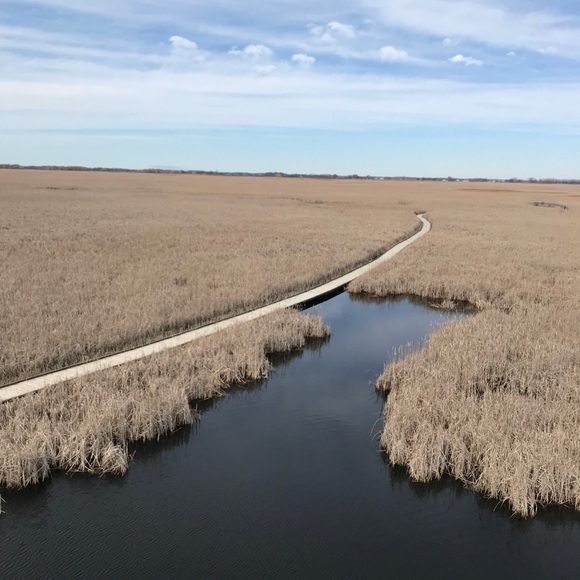 Profile Picture of Zhiyuan Zhao (@zzhao498) on Poshmark