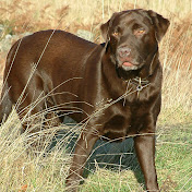 Profile Picture of Jonathan .Proctor (@greentourism) on Youtube