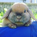 Profile Picture of Markus Lintner (@markuslintner45) on Instagram