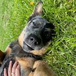 Profile Picture of ridathompson (@ridathompson) on Instagram