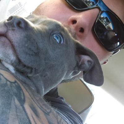 Profile Picture of Jesse Riese (@risse826) on Twitter