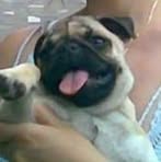 Profile Picture of Giberti Davide (@davide.giberti.77) on Facebook