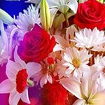 Profile Picture of Manu Shetty (@mohanshetty670) on Instagram