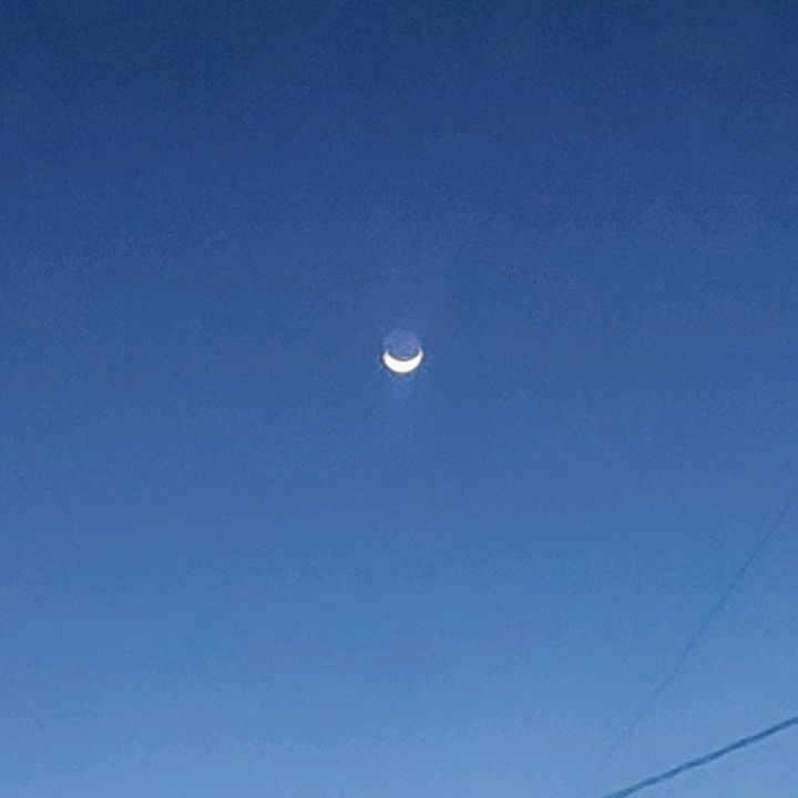 Profile Picture of Luis Benavides550 (@benavides1117) on Tiktok