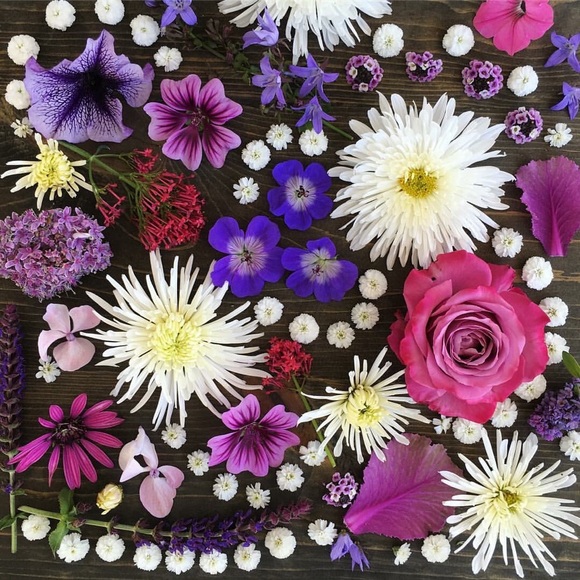 Profile Picture of Mikal Genao (@mikal2814) on Poshmark