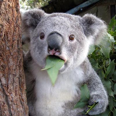 Profile Picture of Alice Bradley (@alicebradley716) on Twitter