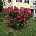 Profile Picture of Donna Keeler (@donnamkeeler) on Instagram