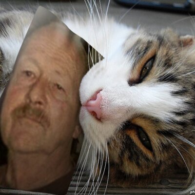 Profile Picture of Ted Ritter (@RitterTed) on Twitter