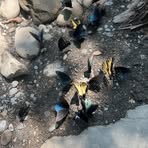 Profile Picture of Crystal Wilson (@crystal.wilson.7549) on Facebook