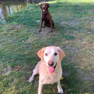 Profile Picture of Michael Rooks (@mjrooks) on Twitter