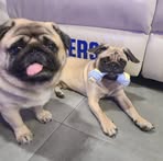 Profile Picture of Nancy Tse (@nancy.tse.963) on Facebook