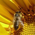 Profile Picture of Maclise (@maclisetenney726) on Instagram