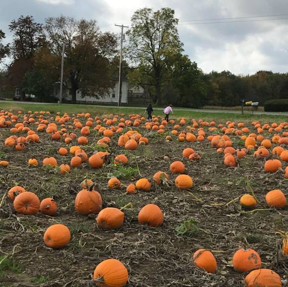 Profile Picture of Jen Collister (@jennylc77) on Poshmark