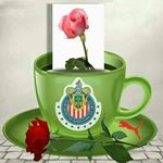 Profile Picture of byron alexander cifuentes (@byronalex_) on Instagram