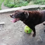 Profile Picture of Richard Bluff (@richard.bluff.16) on Facebook