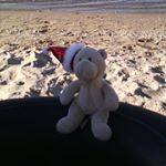 Profile Picture of Ted (@ted_bacon07) on Instagram