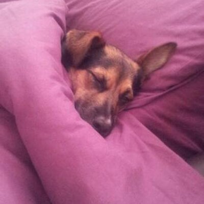 Profile Picture of Becky Downs (@MrsRDowns) on Twitter