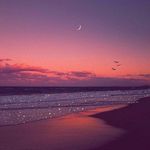 Profile Picture of 𝔸𝕤𝕙𝕝𝕖𝕪 ℍ𝕖𝕒𝕕☠︎︎✞ (@reclass.benzo) on Instagram