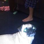 Profile Picture of Doug Pence (@doug.pence.31105) on Instagram