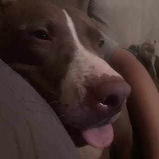 Marroquin Jeffrey - Instagram Profile Picture of Marroquin Jeffrey (@marroquin.jeffrey) on Instagram