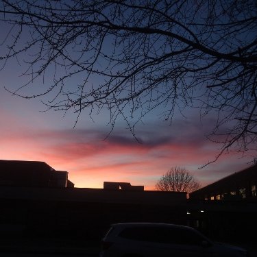 Profile Picture of Jamie Duckworth (@LadybugMom07) on Twitter