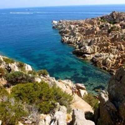 Profile Picture of Lee Tanowitz (@leeleetano) on Twitter