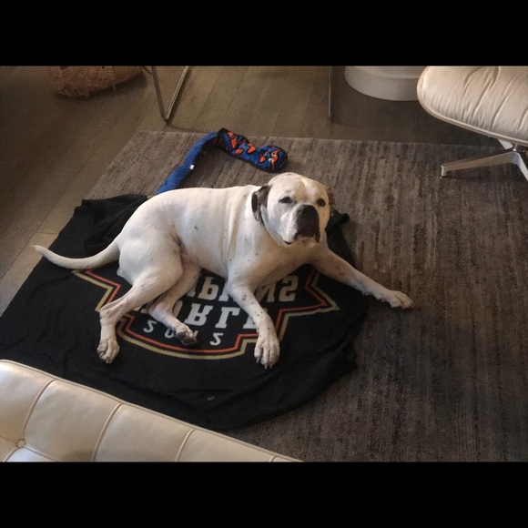 Profile Picture of Jordan Piha (@charlie3344501) on Poshmark