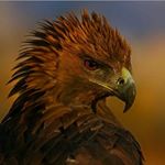 Profile Picture of Lekerino (@suvan_lek) on Instagram