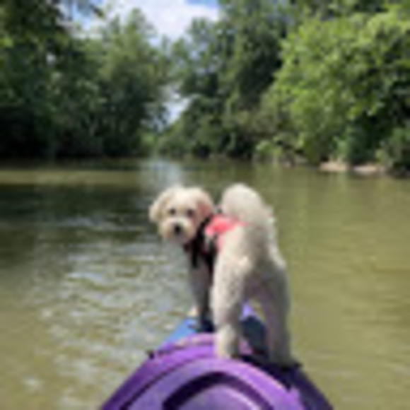 Profile Picture of Renee Bruner distefano (@rdb181) on Poshmark