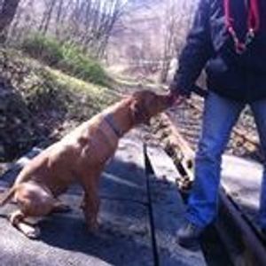 Profile Picture of Isaac Tucker (@travelfreak7) on Myspace