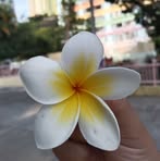 Profile Picture of ShiliYah Ajja (@shiliyah.do.sari) on Facebook