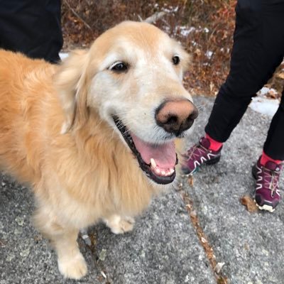 Dave Skillen - Twitter Profile Picture of Dave Skillen (@dave_skillen) on Twitter