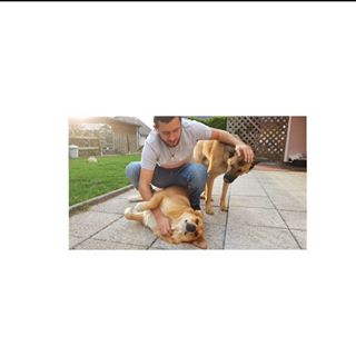 Profile Picture of Psy Aaron (@aaron.bottesi) on Facebook