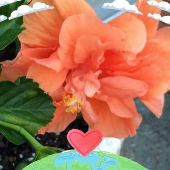 Profile Picture of Linda Usery (@lusery717) on Poshmark