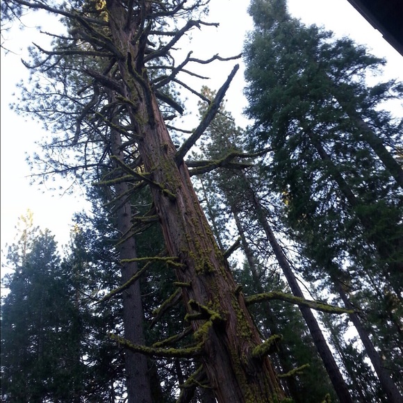 Profile Picture of Catherine Thompson (@catie_t) on Poshmark