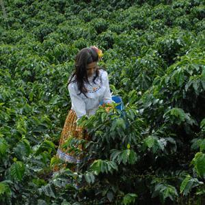 Profile Picture of Luz Arroyave (@luzarroyavec31) on Twitter