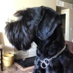 Profile Picture of Matt Rivet (@mattrivet) on Instagram