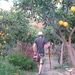 Profile Picture of Aaron Trittien (@aarontrittien) on Pinterest