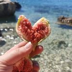 Profile Picture of Joanna Balińska (@jbalinska) on Instagram