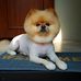 Profile Picture of Trini Nguyen (@trini.nguyen.180) on Facebook