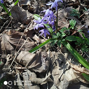 Profile Picture of Mohamed Elazab (@mohamedelazab2871) on Youtube