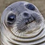 Profile Picture of Sean (@seanhodgson_) on Instagram