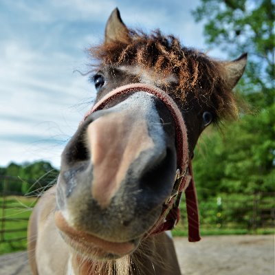 Profile Picture of Lydia Weaver (@LydiaWe22498424) on Twitter