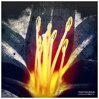 Profile Picture of Gilbert Mathews (@muffledbirth12) on Twitter