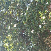 Profile Picture of Andrea Wright (@AndreaWright-ev9tz) on Youtube