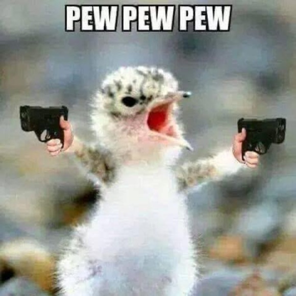 Profile Picture of Frank Foose (@frankfoose) on Poshmark